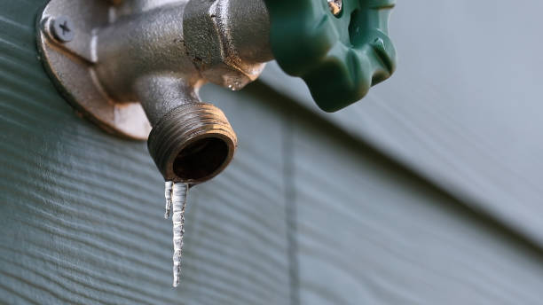 Best Sewer Line Repair  in Markle, IN